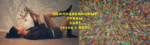 трава Михайловск